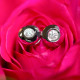 Cercei din aur 18K cu diamante 0,10 ct., model Orsini 00255BL-10 Cercei din aur 18K cu diamante 0,10 ct., model Orsini 00255BL-10